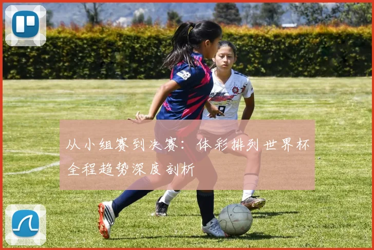 从小组赛到决赛：体彩排列世界杯全程趋势深度剖析
