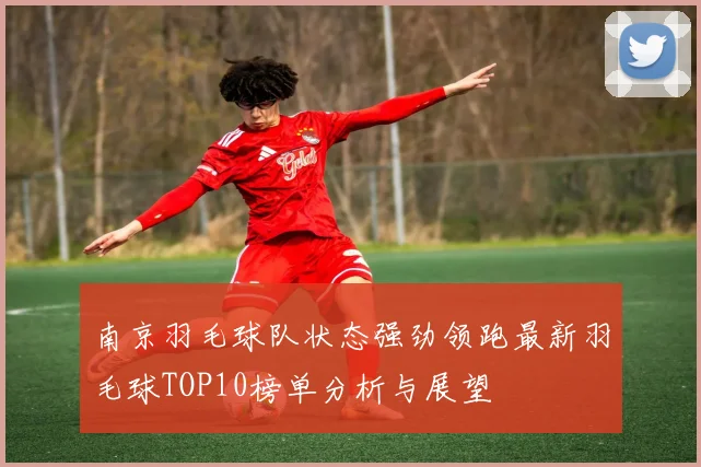 南京羽毛球队状态强劲领跑最新羽毛球TOP10榜单分析与展望