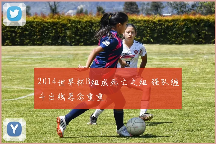 2014世界杯B组成死亡之组 强队缠斗出线悬念重重